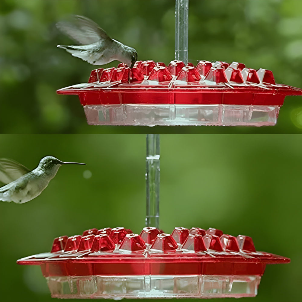 Hanging Nectar Hummingbird Feeding Station