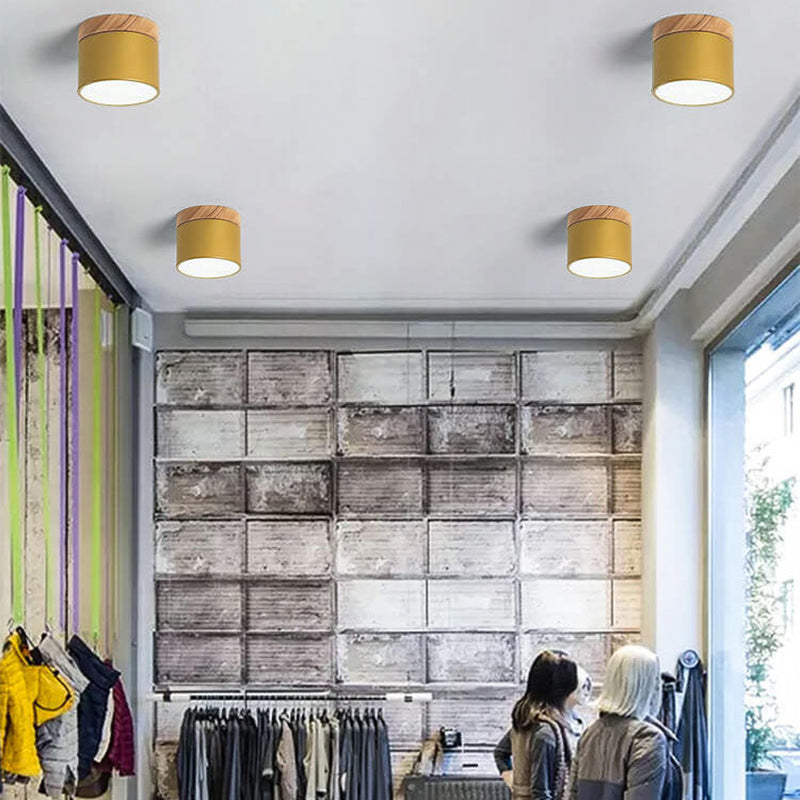 Macaron LED Flush Mount Ceiling Light