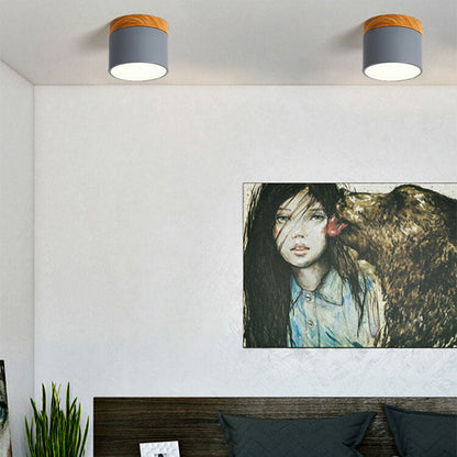 Macaron LED Flush Mount Ceiling Light