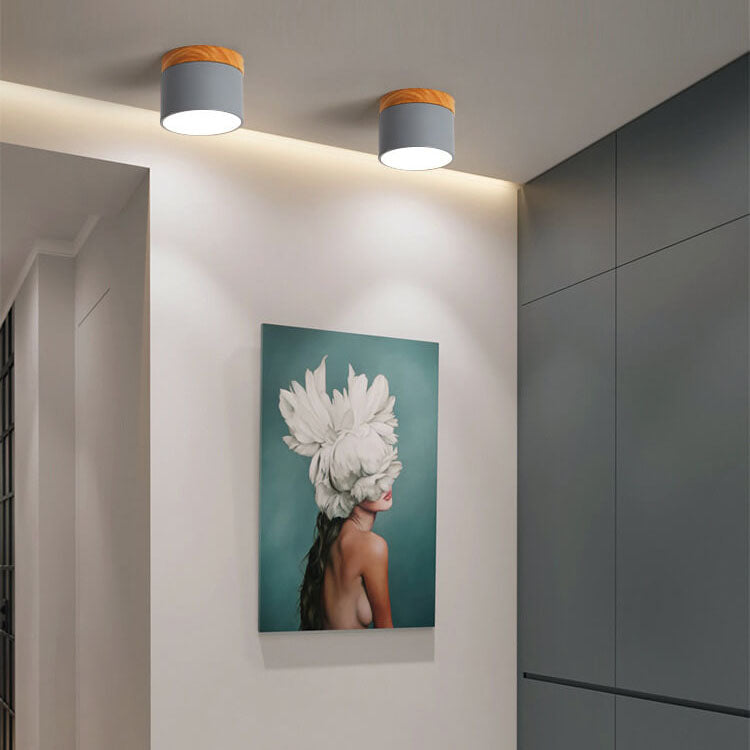 Macaron LED Flush Mount Ceiling Light