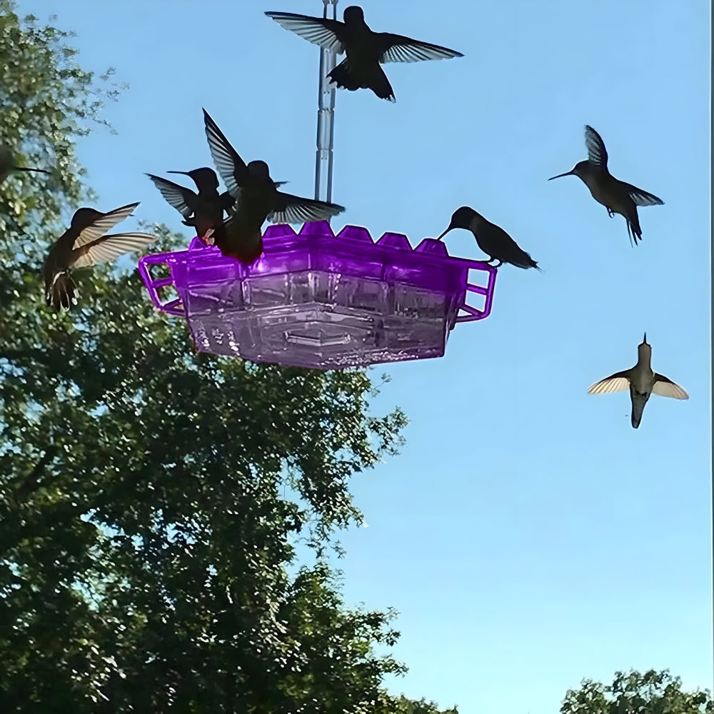 Hanging Nectar Hummingbird Feeding Station