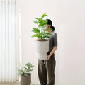 White Self Watering Wine Glass Planter