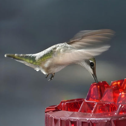 Hanging Nectar Hummingbird Feeding Station