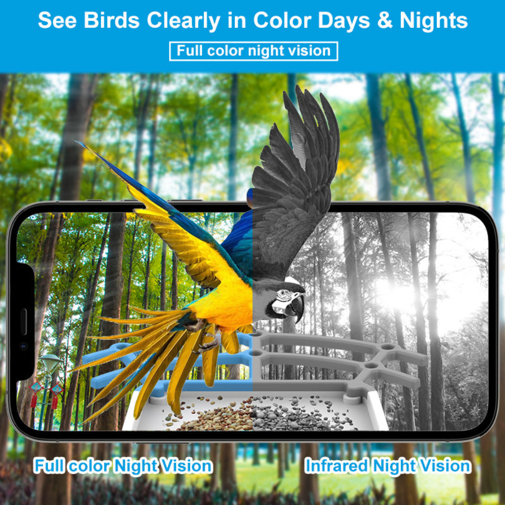 Solar Roof Smart Bird Feeder Camera