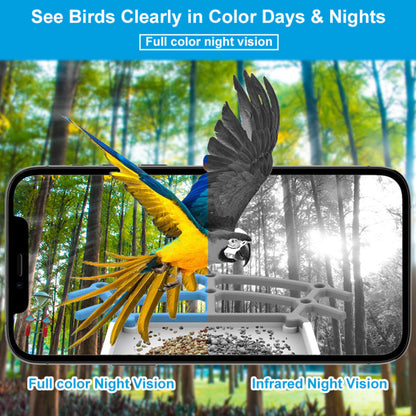 Solar Roof Smart Bird Feeder Camera