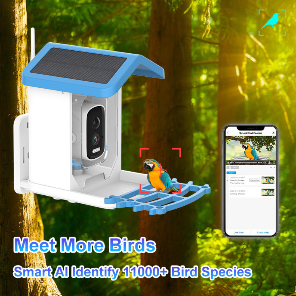 Solar Roof Smart Bird Feeder Camera