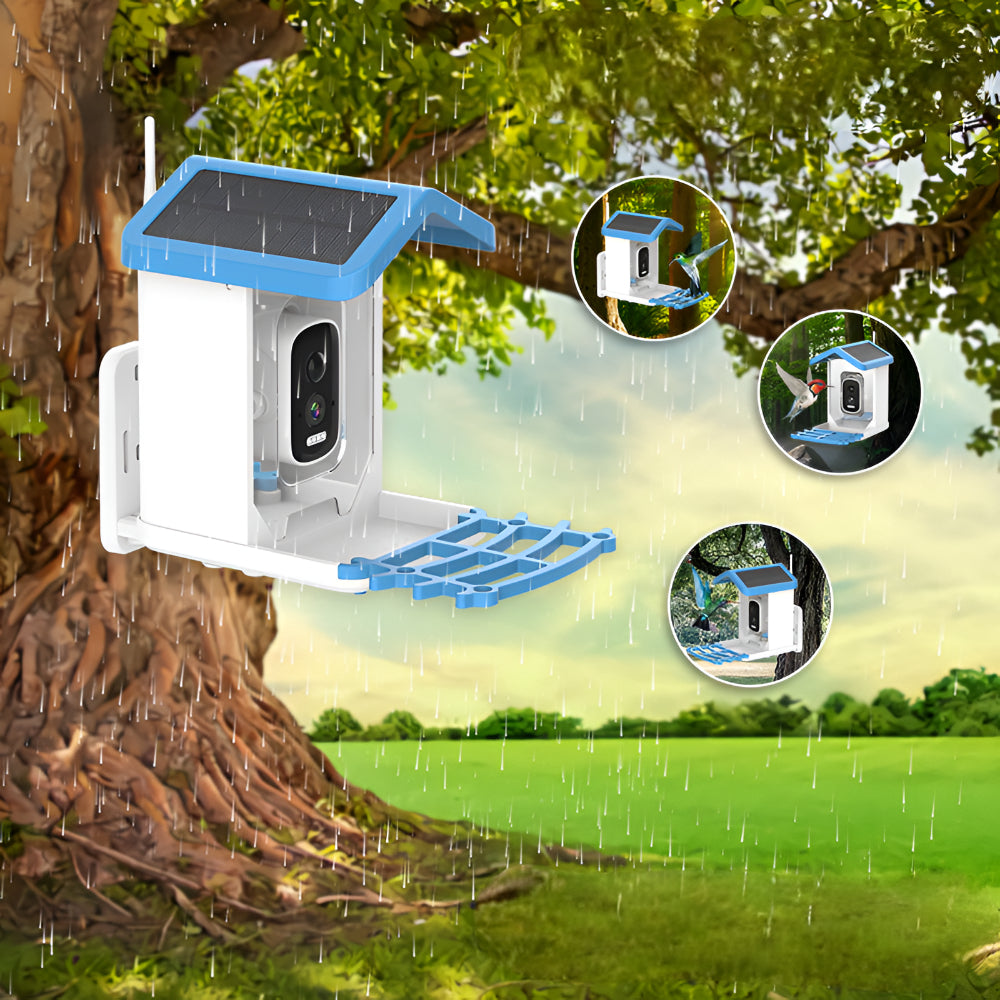 Solar Roof Smart Bird Feeder Camera