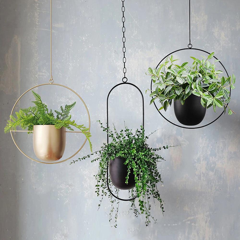 FloraFrame Minimalist Iron Hanging Planter