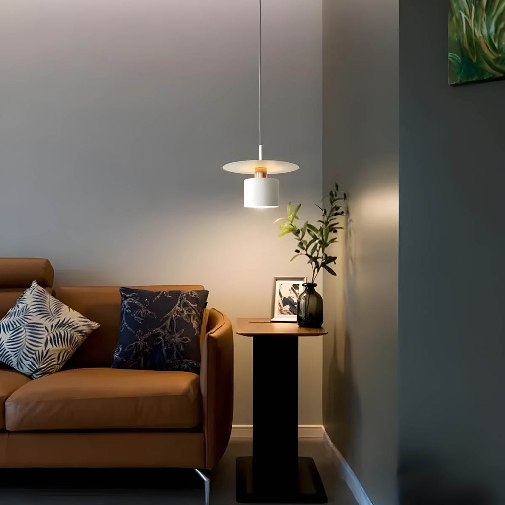 Modern Minimalist Pendant Light