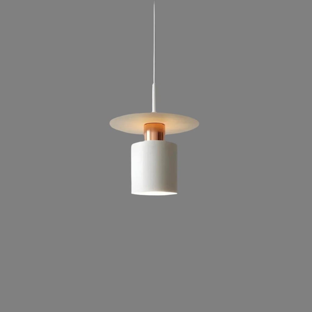 Modern Minimalist Pendant Light