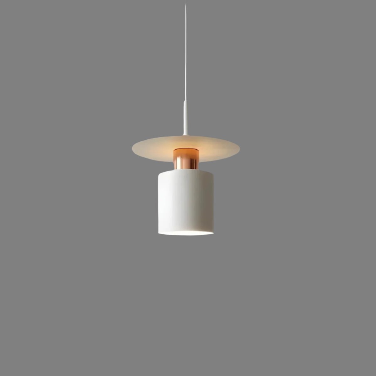 Modern Minimalist Pendant Light