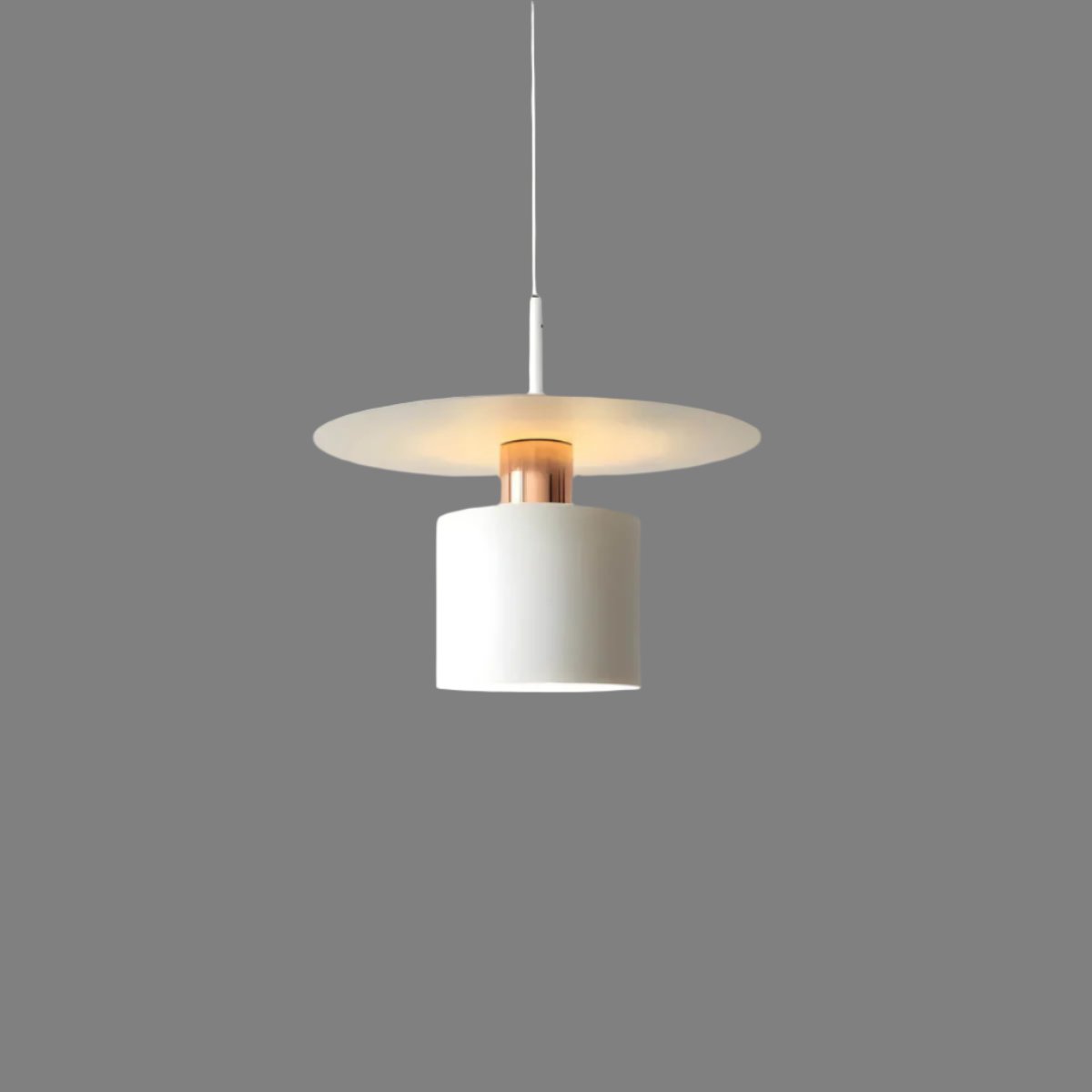 Modern Minimalist Pendant Light