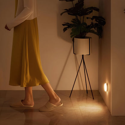 Wireless LED Hallway Motion Night Light