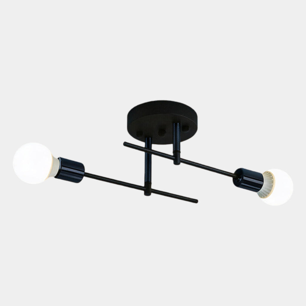Black & Gold Twin Light Ceiling Lamp