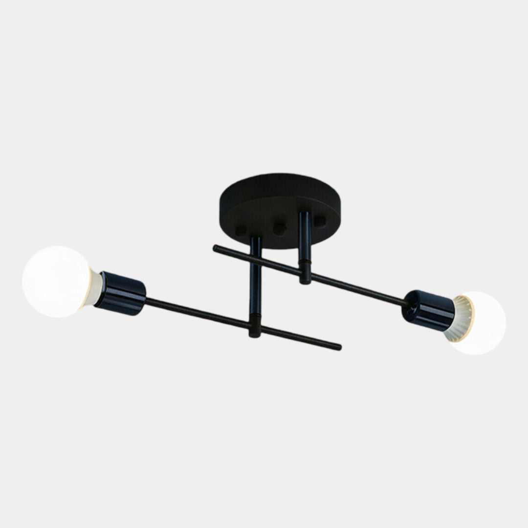 Black & Gold Twin Light Ceiling Lamp