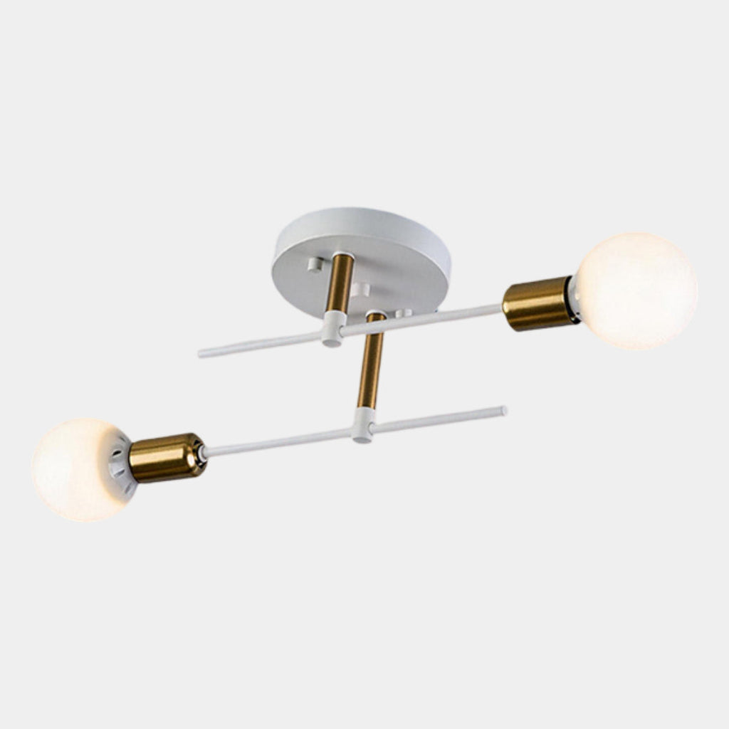 Black & Gold Twin Light Ceiling Lamp