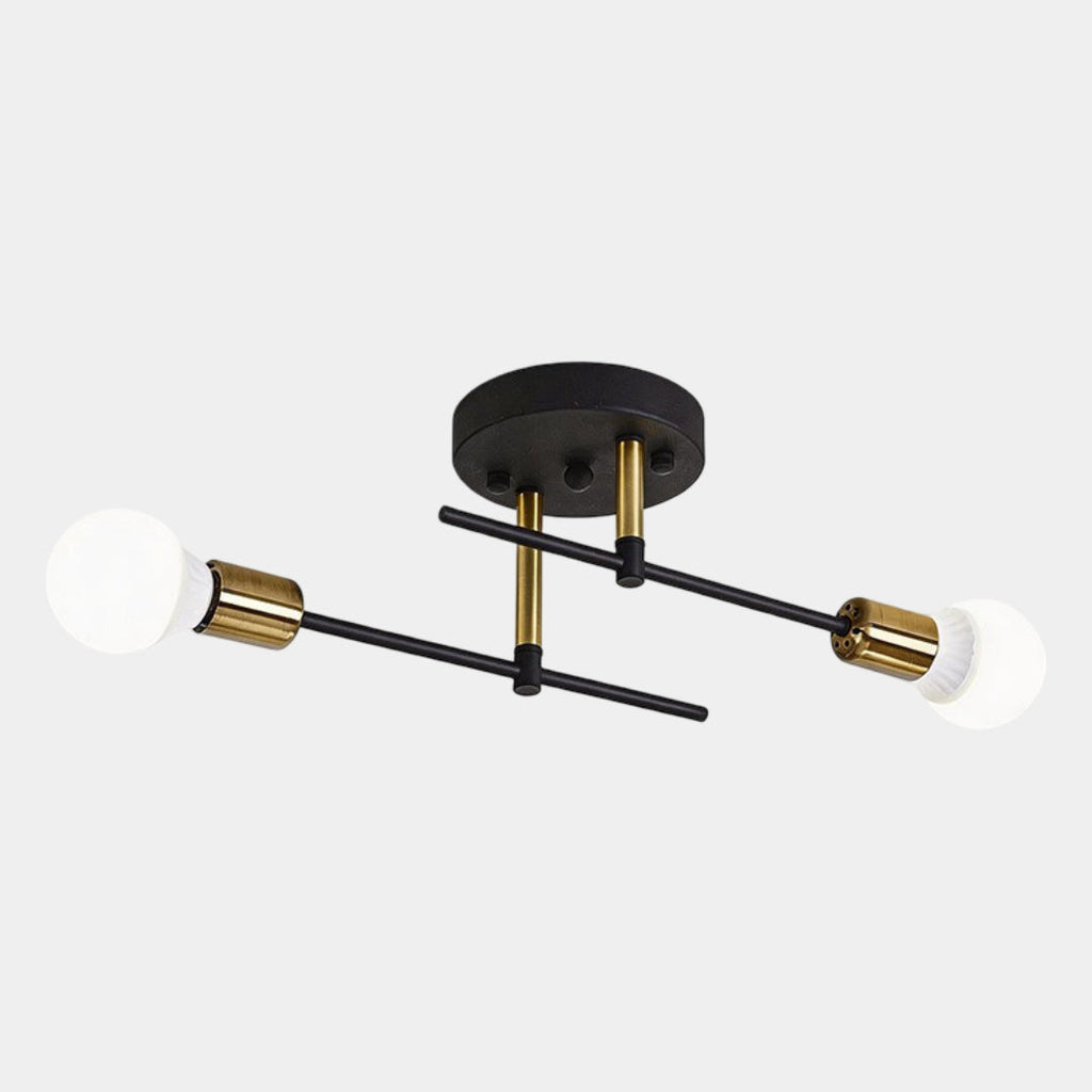 Black & Gold Twin Light Ceiling Lamp