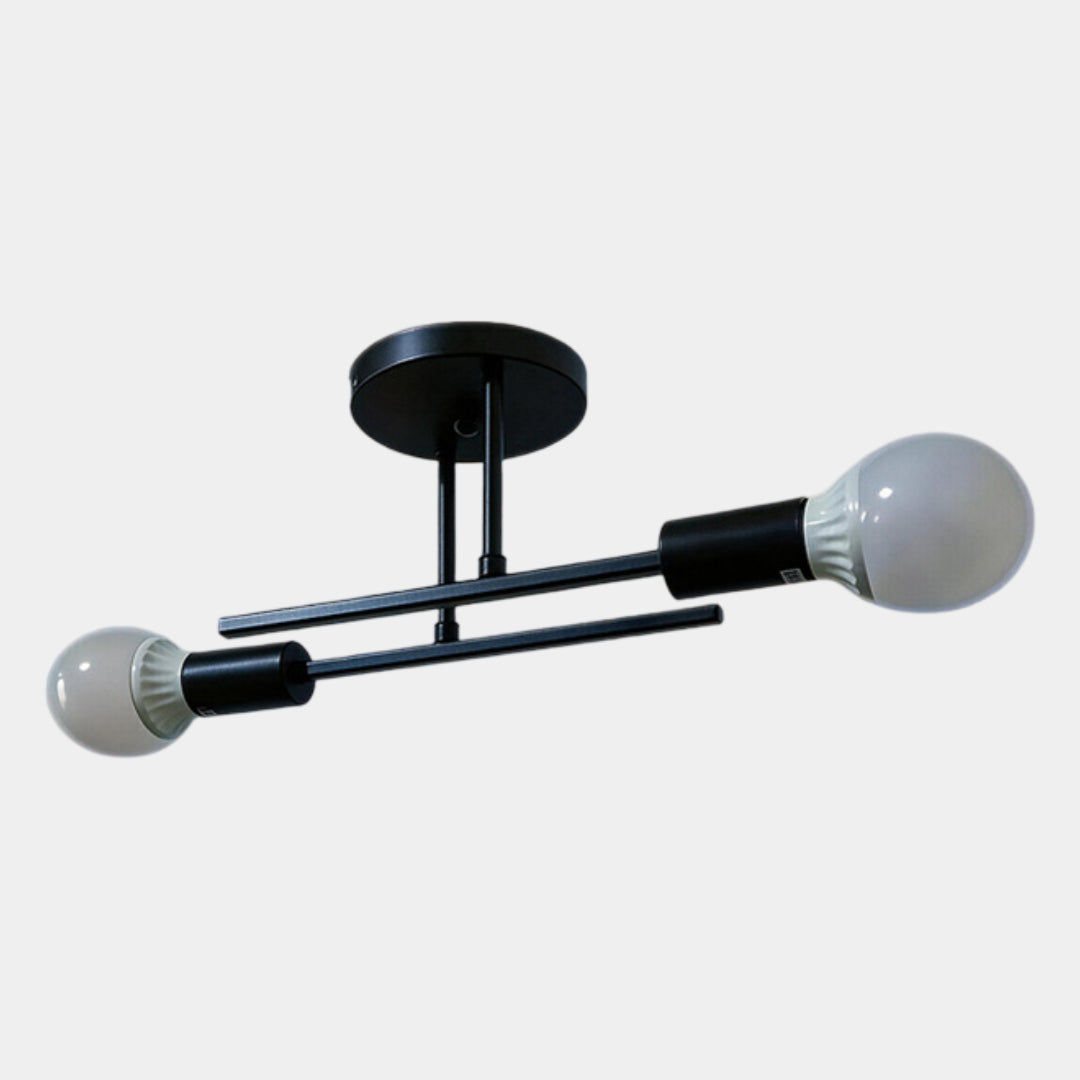Black & Gold Twin Light Ceiling Lamp