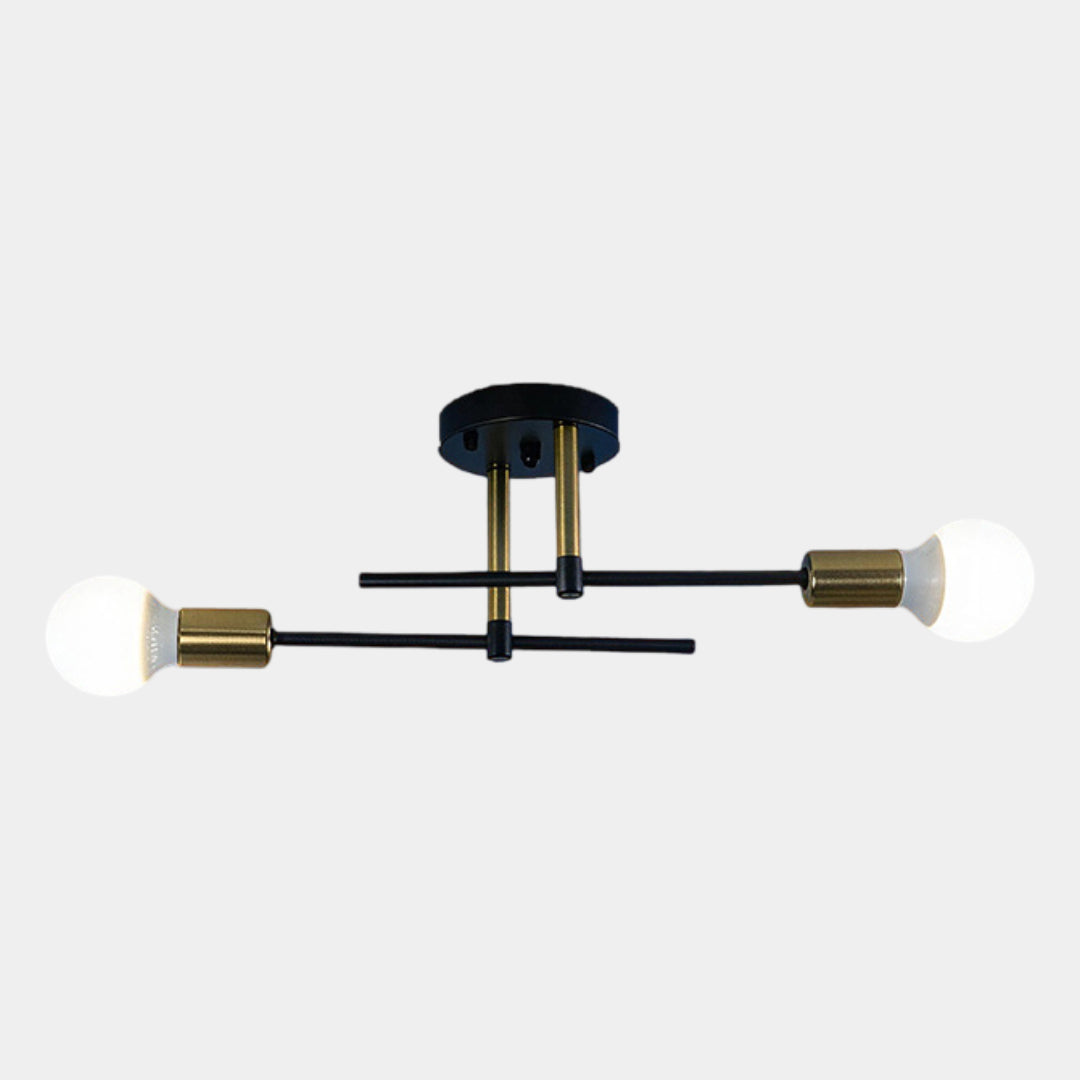 Black & Gold Twin Light Ceiling Lamp