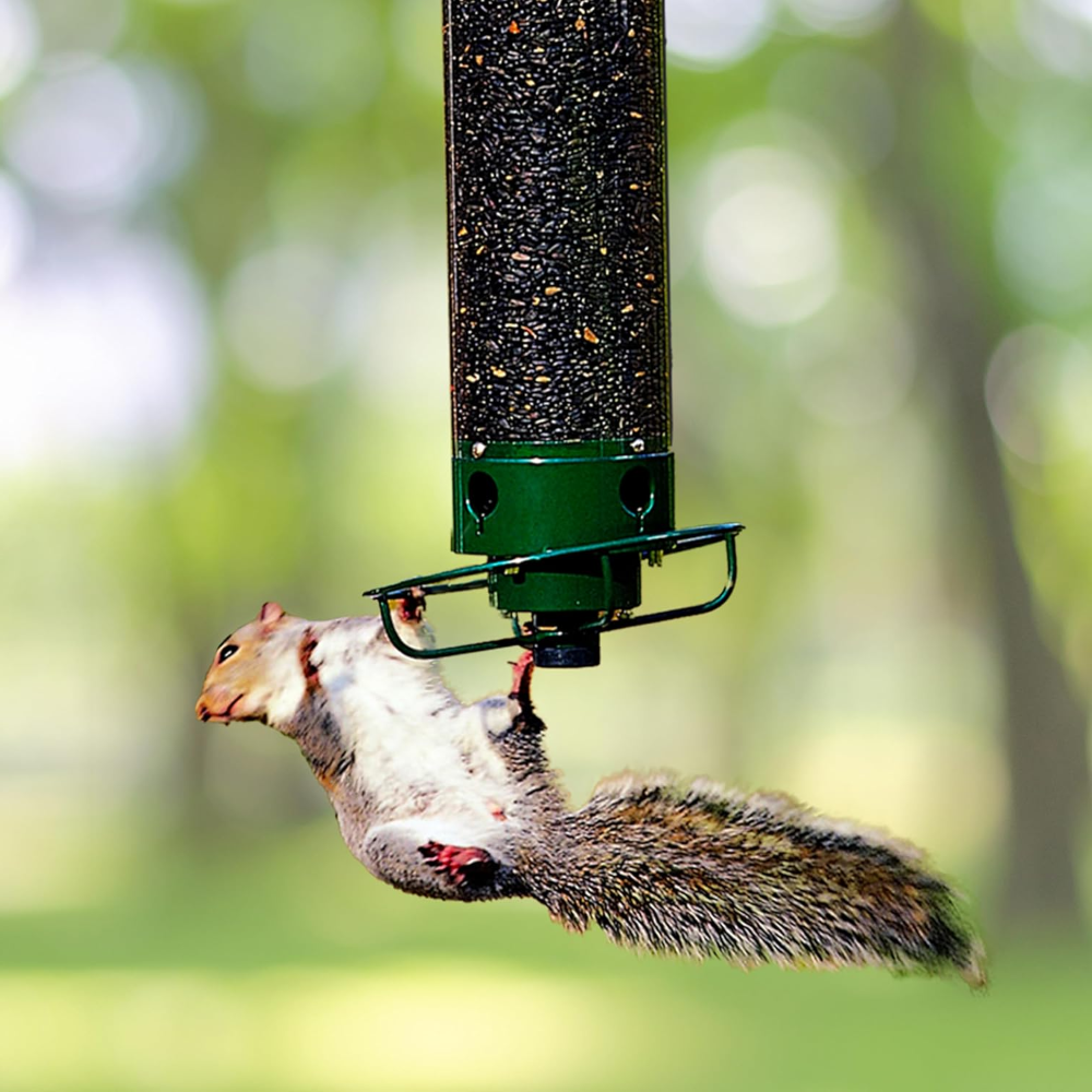 Squirrel Proof Bird Feeder Hanging Design with Four Feeding Ports 0
