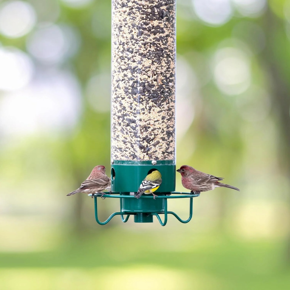 Squirrel Proof Bird Feeder Hanging Design with Four Feeding Ports 5