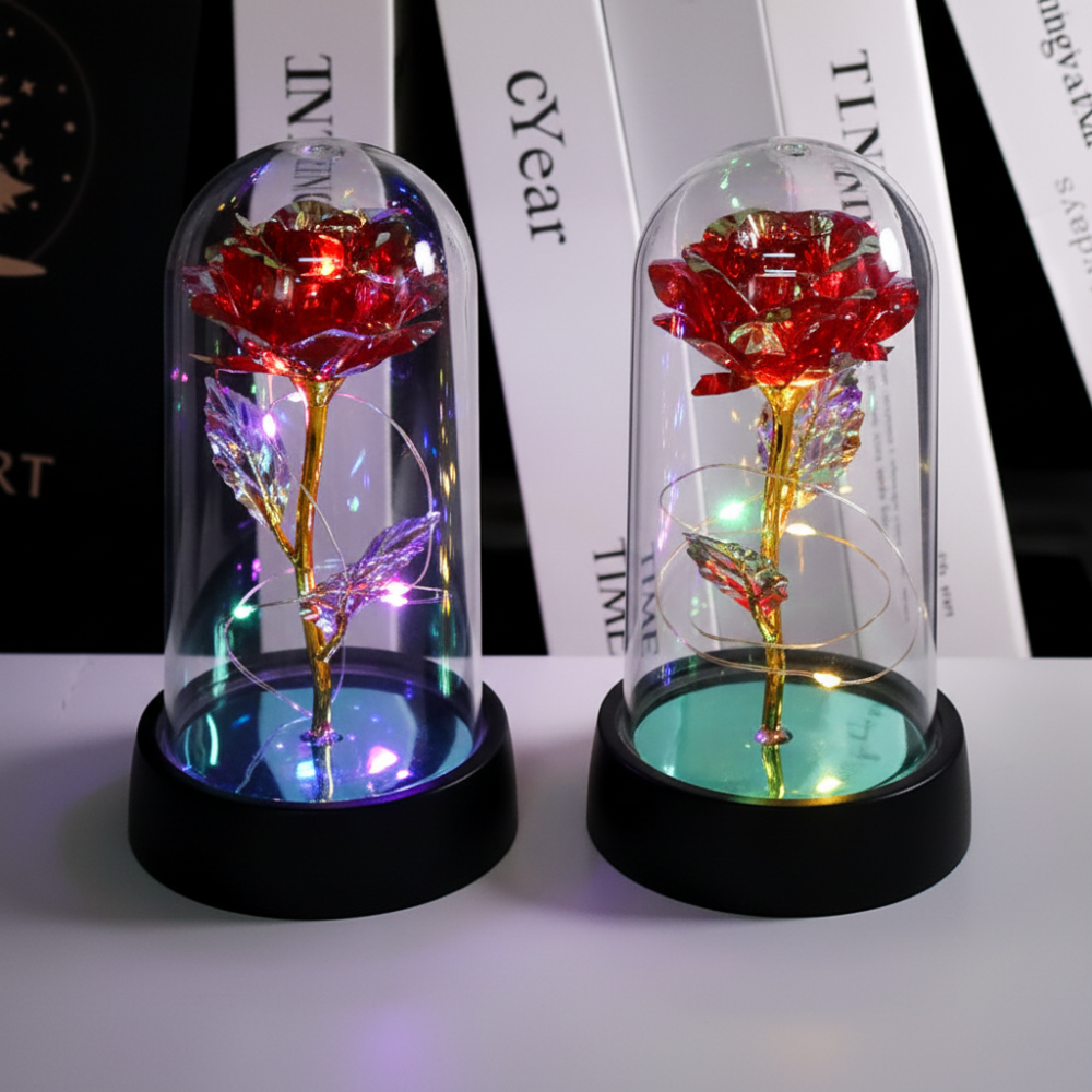 Rose Dome LED Night Light Gift