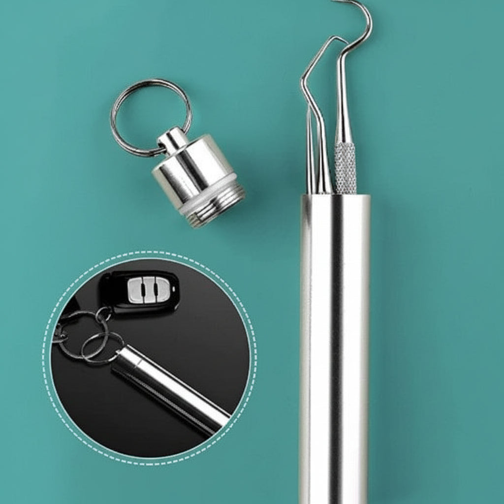 Reusable Metal Toothpick Travel Set