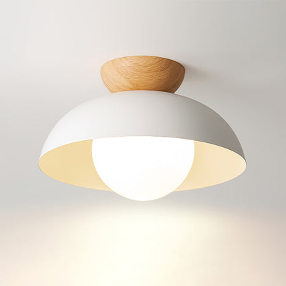 Nordic Dome Minimalist Ceiling Light