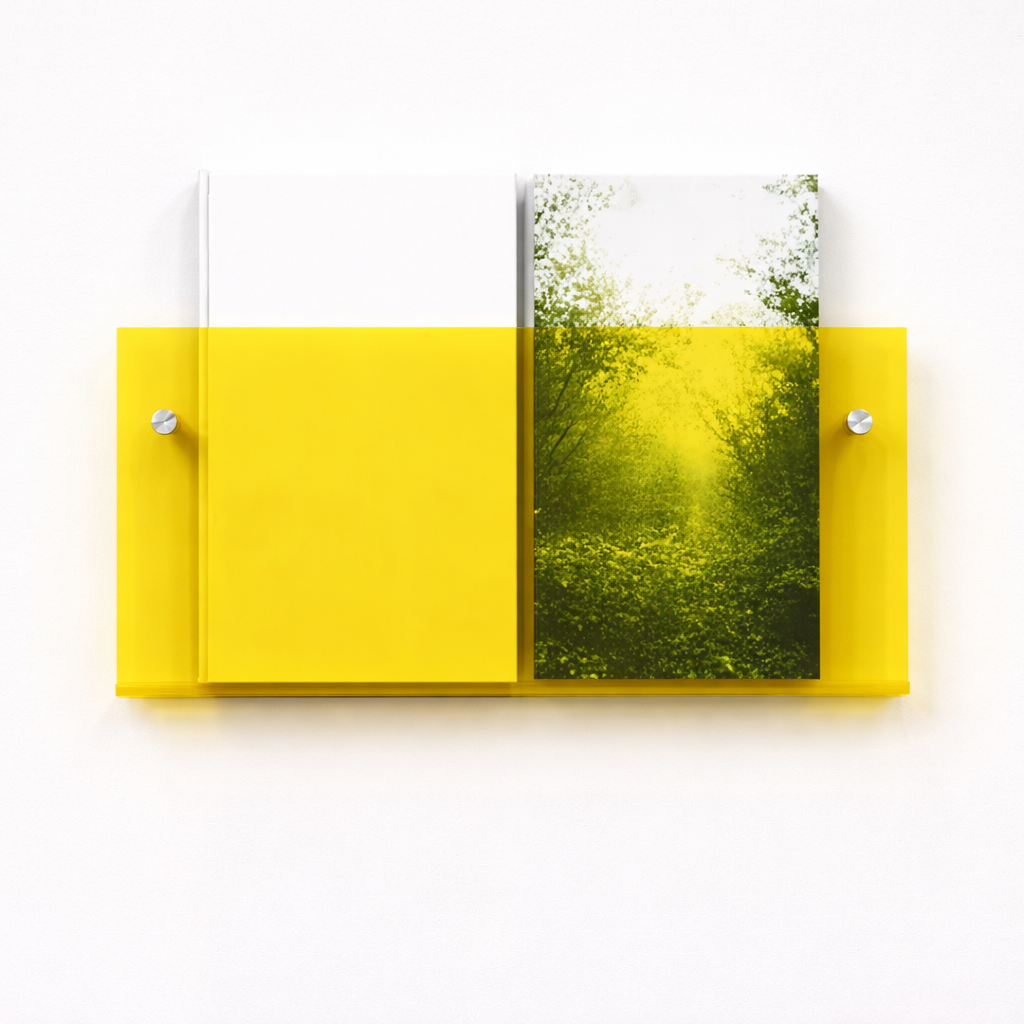 Acrylic Floating Wall Magazine Shelf