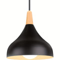 Teardrop Metal & Wood Pendant Light