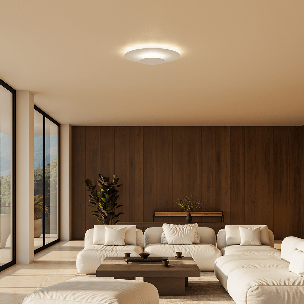 Halo Flush Mount Ceiling Light