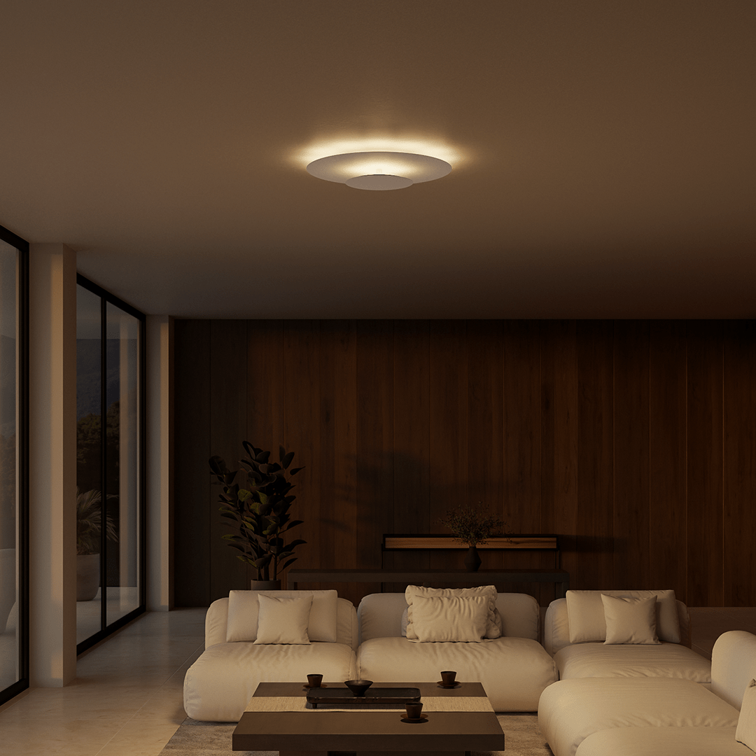 Halo Flush Mount Ceiling Light