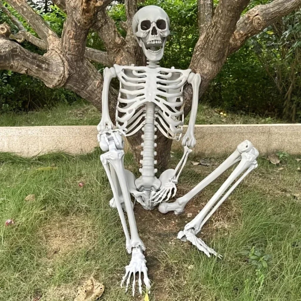 Halloween Decoration Skeleton Figure Life-Size Display - Image 2