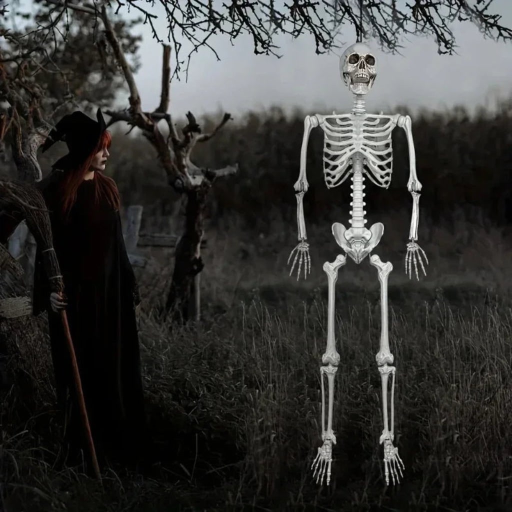 Halloween Decoration Skeleton Figure Life-Size Display - Image 3