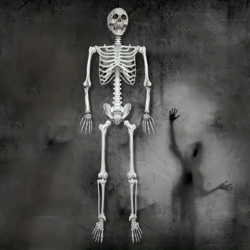 Halloween Decoration Skeleton Figure Life-Size Display - Image 4