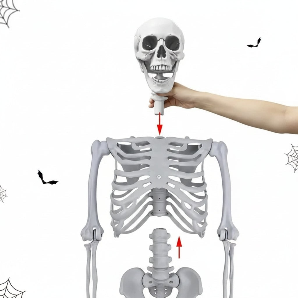 Halloween Decoration Skeleton Figure Life-Size Display - Image 5