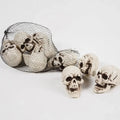 Halloween Decoration Skeleton Skulls Spooky Home Accent - Image 1