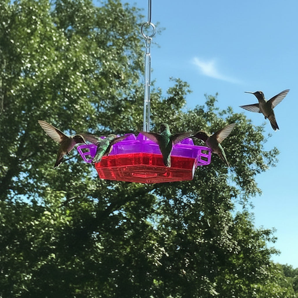 Hummingbird Feeder Hanging Bird Outdoor - Image 3