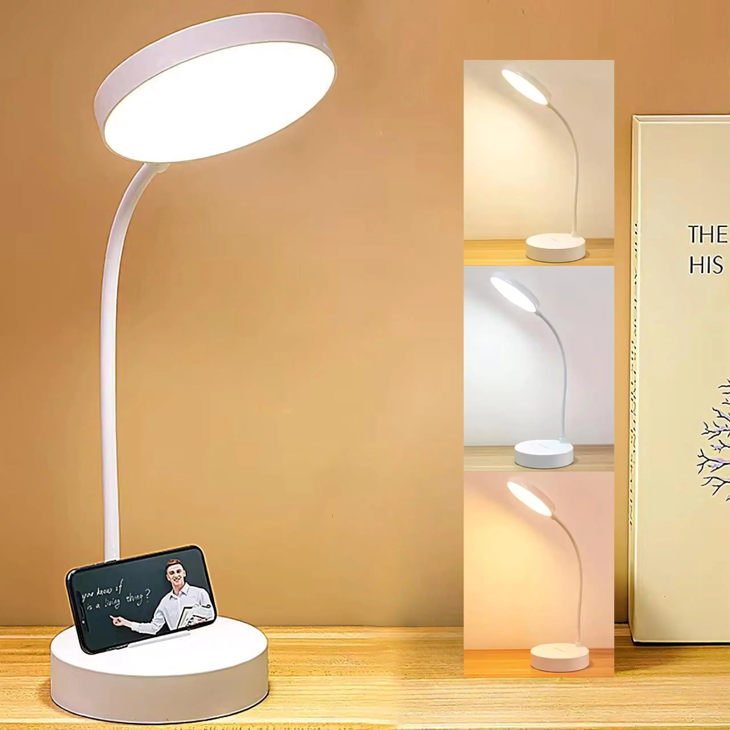 Swan-Neck LED Desk Lamp with USB