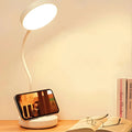 Swan-Neck LED Desk Lamp with USB