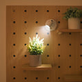 Wall Sconce Battery Operated Modern Adjustable LED Spotlight - Image 1