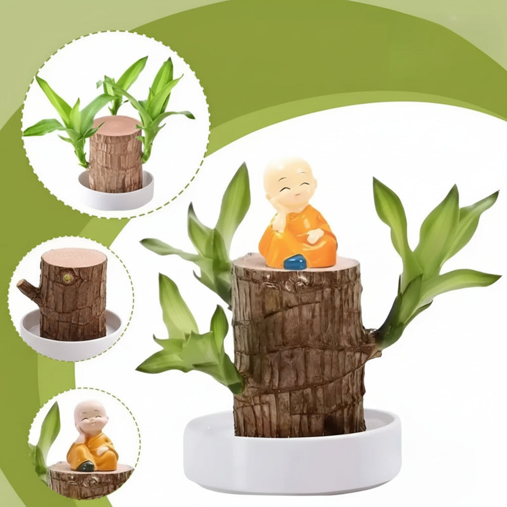 Wooden Tiered Flower Pot Display Shelf