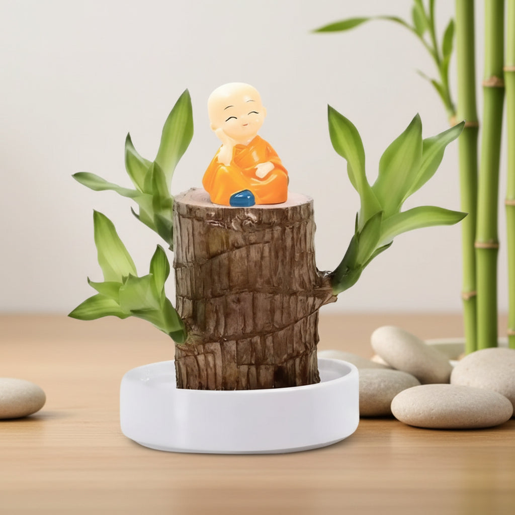 Wooden Tiered Flower Pot Display Shelf